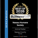 award-plaque-BR549485